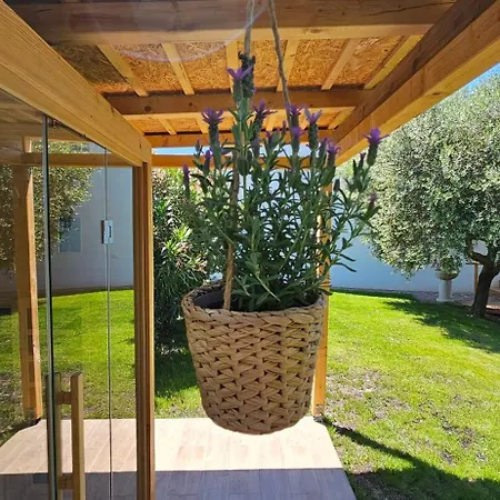 The Cosyvine House - A Peaceful Private Retreat With Jacuzzi, Sauna, And Breathtaking Brda Views Kozana