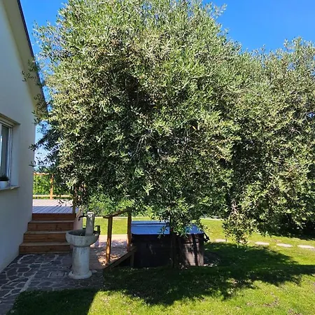 The Cosyvine House - A Peaceful Private Retreat With Jacuzzi, Sauna, And Breathtaking Brda Views 펜션