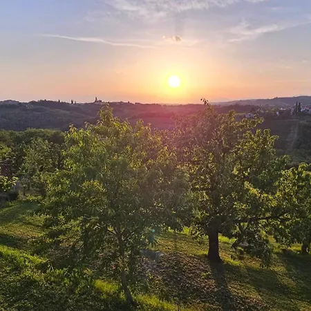 The Cosyvine House - A Peaceful Private Retreat With Jacuzzi, Sauna, And Breathtaking Brda Views *